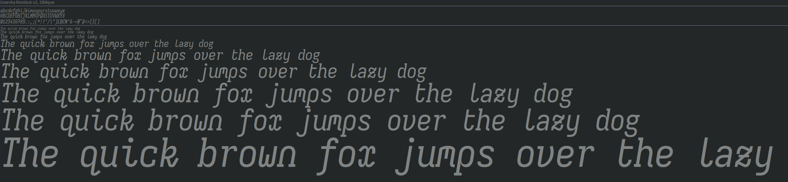 Rootiest Iosevka V2 Font - Oblique