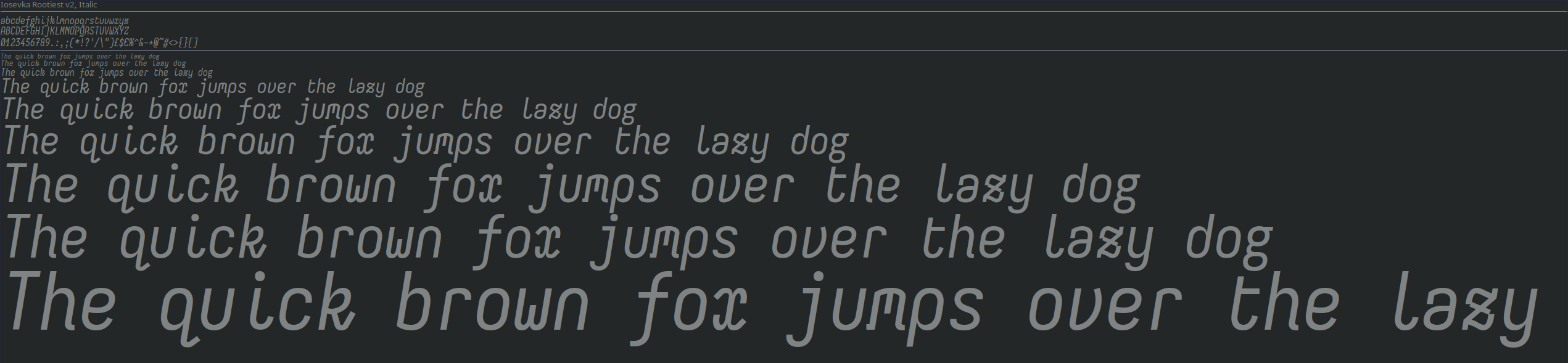 Rootiest Iosevka V2 Font - Italic
