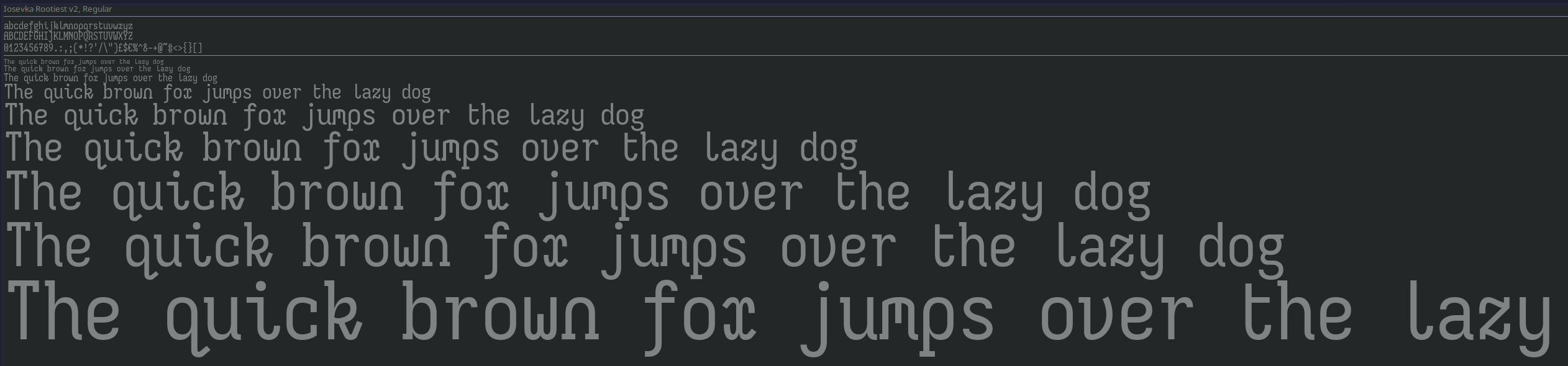 Rootiest Iosevka V2 Font - Regular